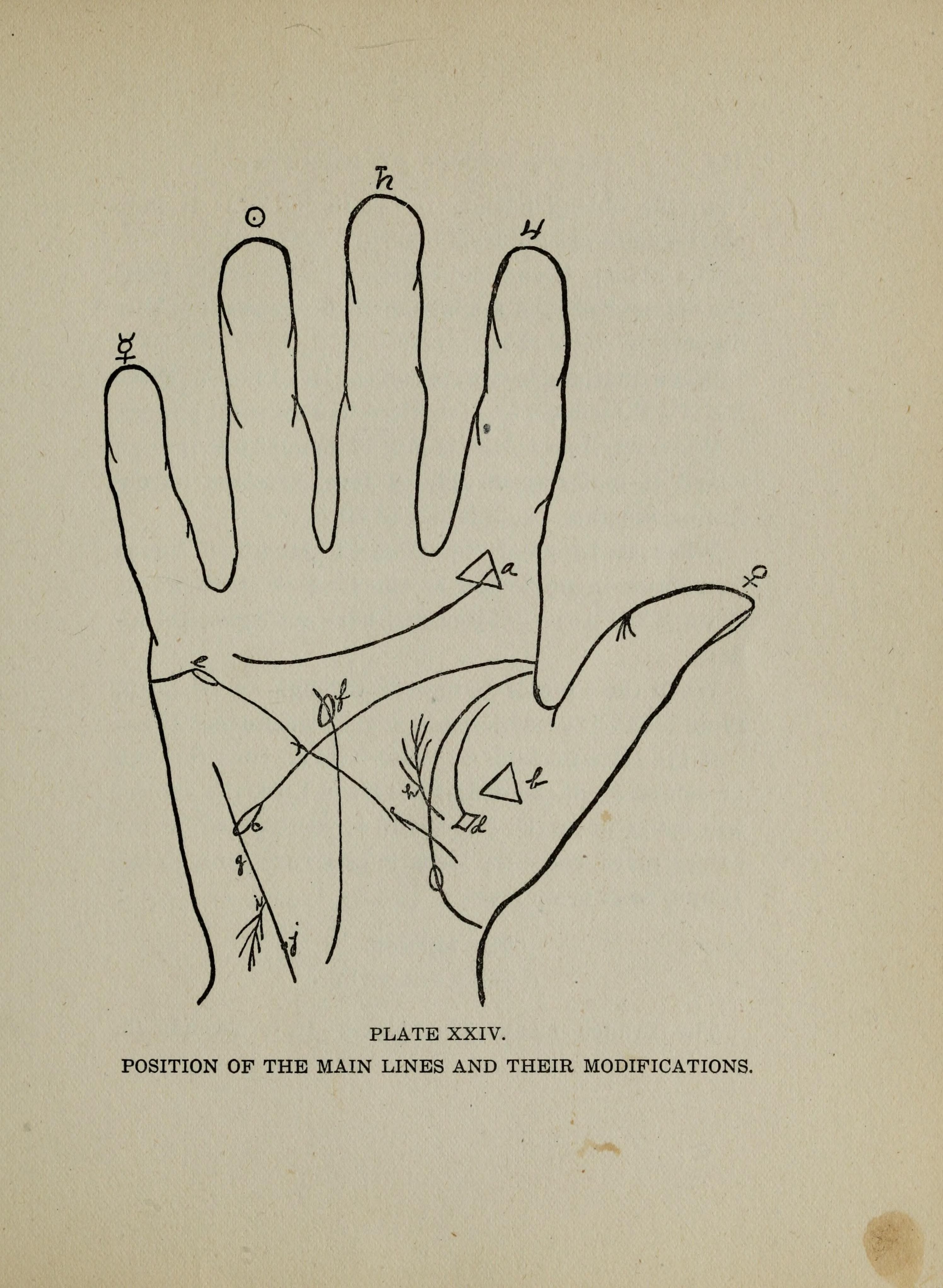 1902 年手相书籍中的掌纹位置与变化图